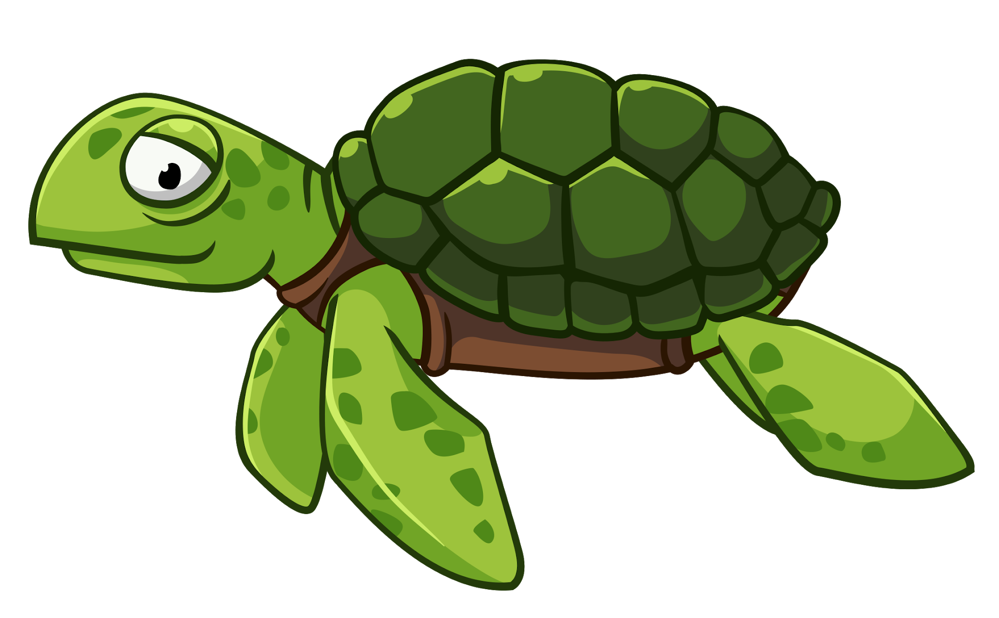 Pin pngsector turtle.