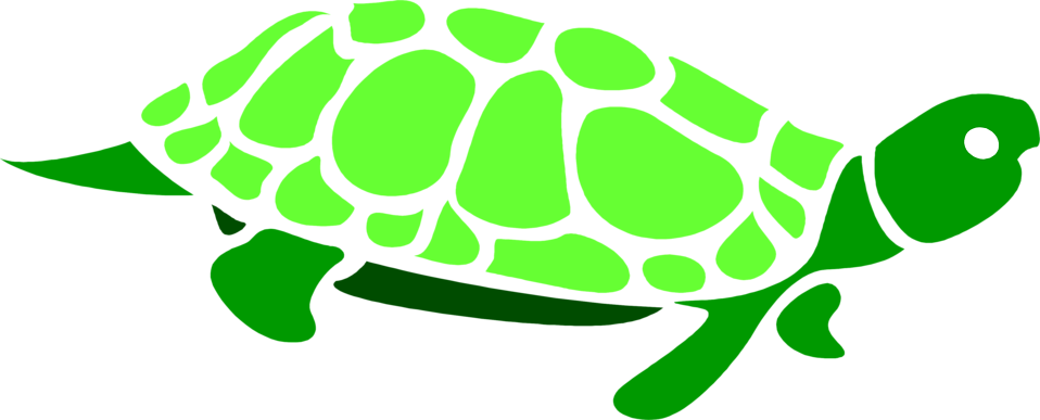 Clipart turtle green.