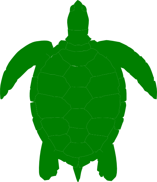Green clipart sea turtle, Green sea turtle Transparent FREE