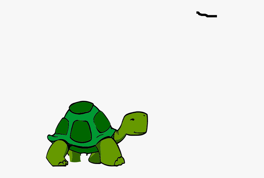 green turtle clipart tortoise