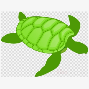 Green Turtle Cliparts