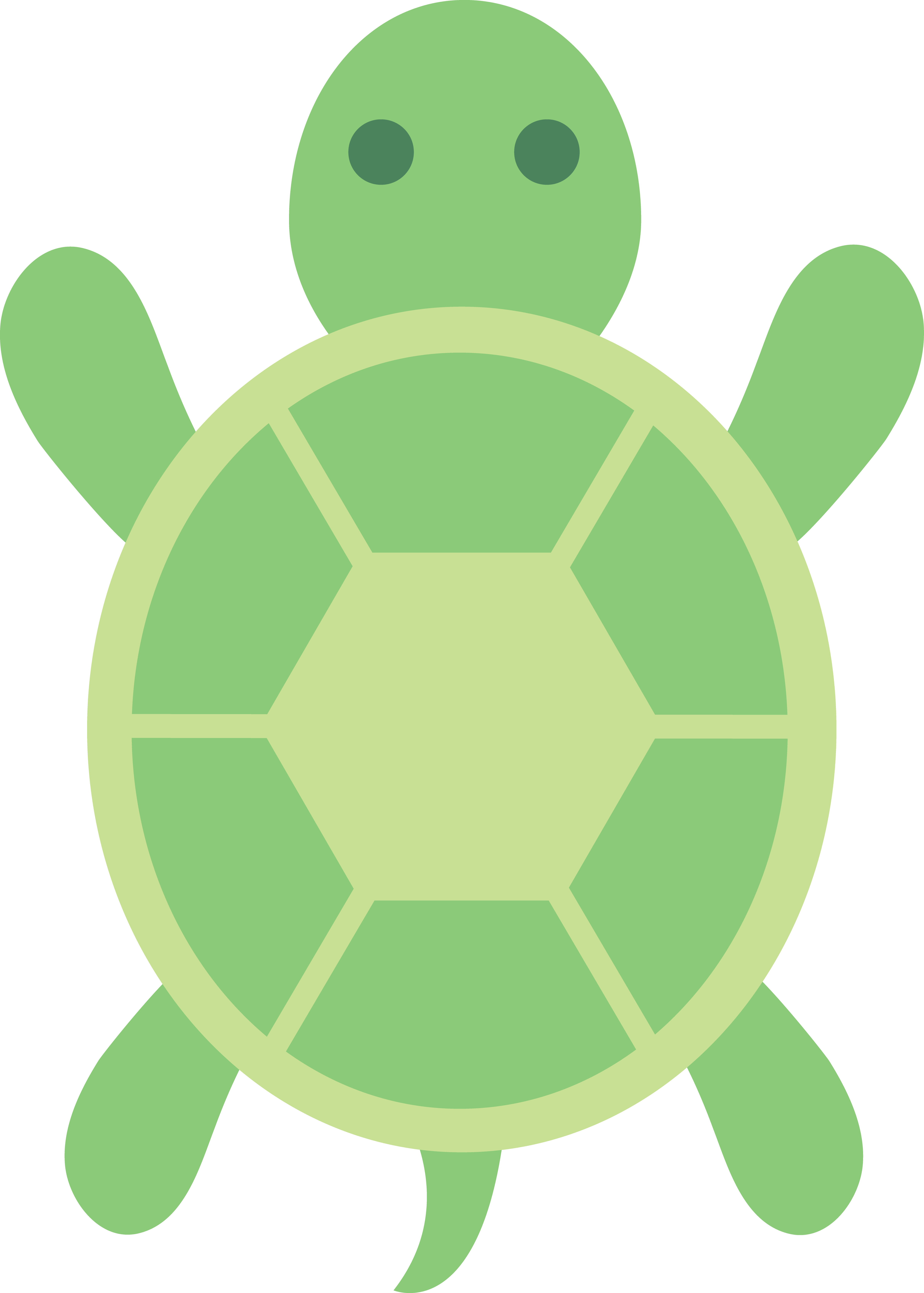 Green sea turtle Free content Clip art
