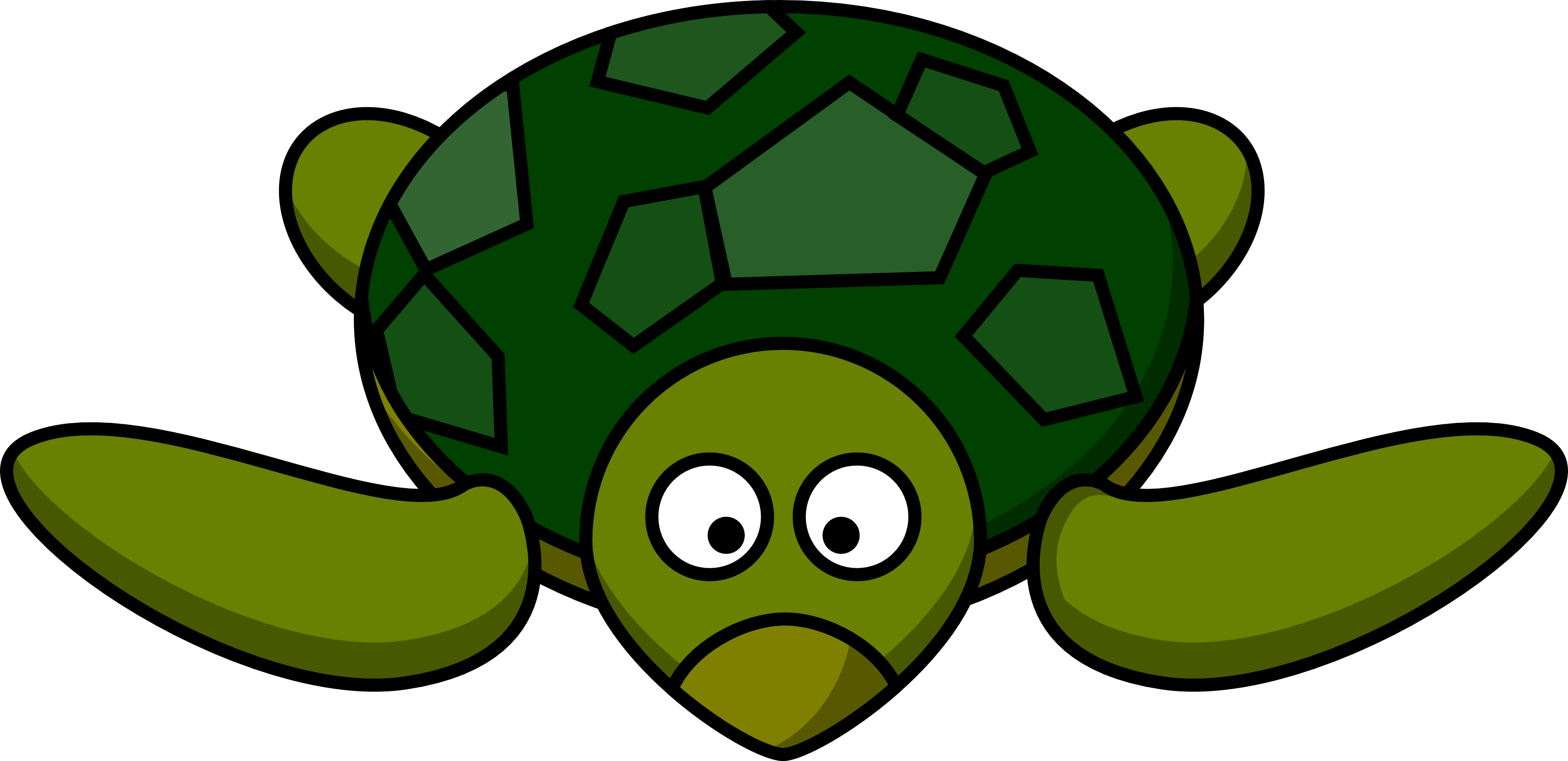 Free shy turtle.