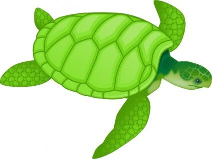 green turtle clipart whimsical