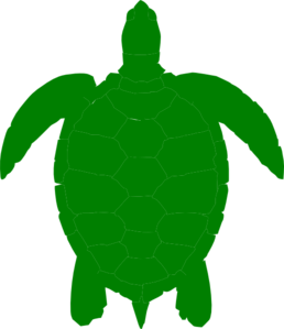 Green Sea Turtle clip art