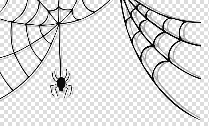 Spider web halloween.