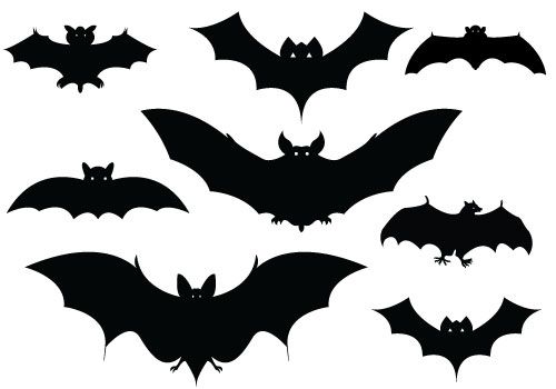 Halloween bats silhouettes.