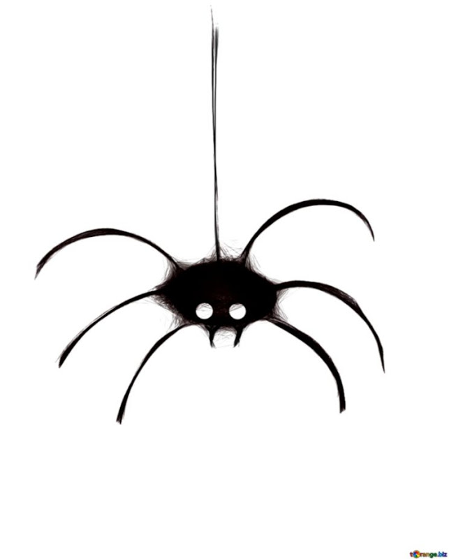 Halloween spider clip.