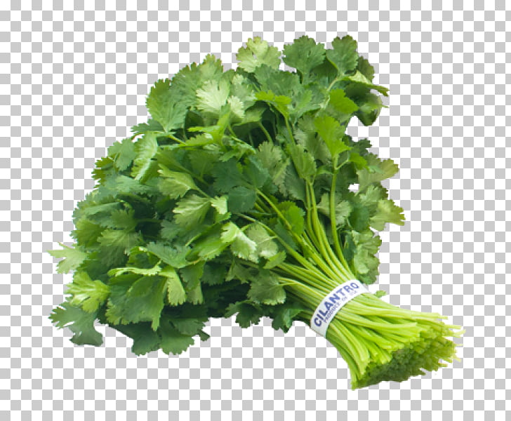 ham clipart parsley