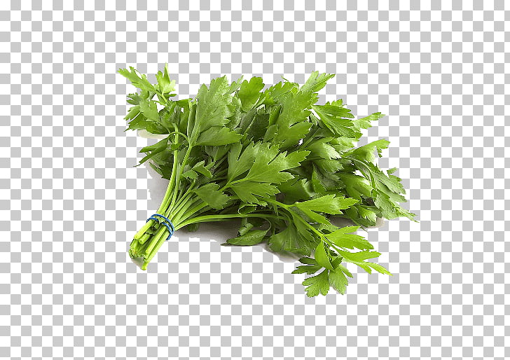 Parsley Organic food Vegetable Leaf, vegetable PNG clipart