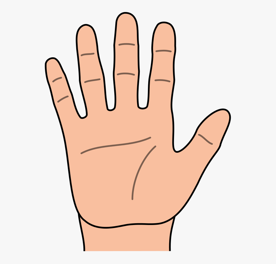 Clipart Of Represent, Hand And Hands