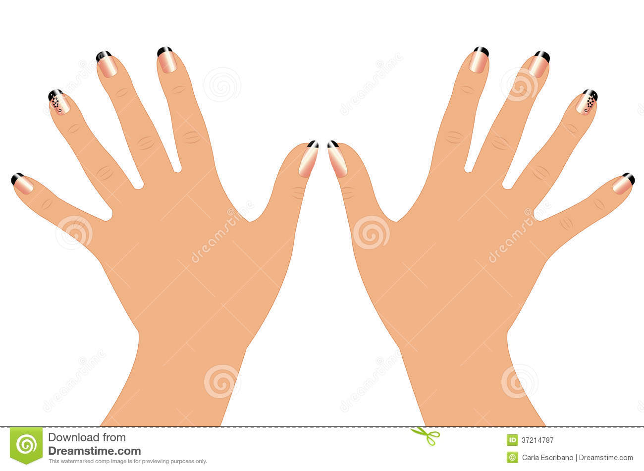 Woman hand clipart.