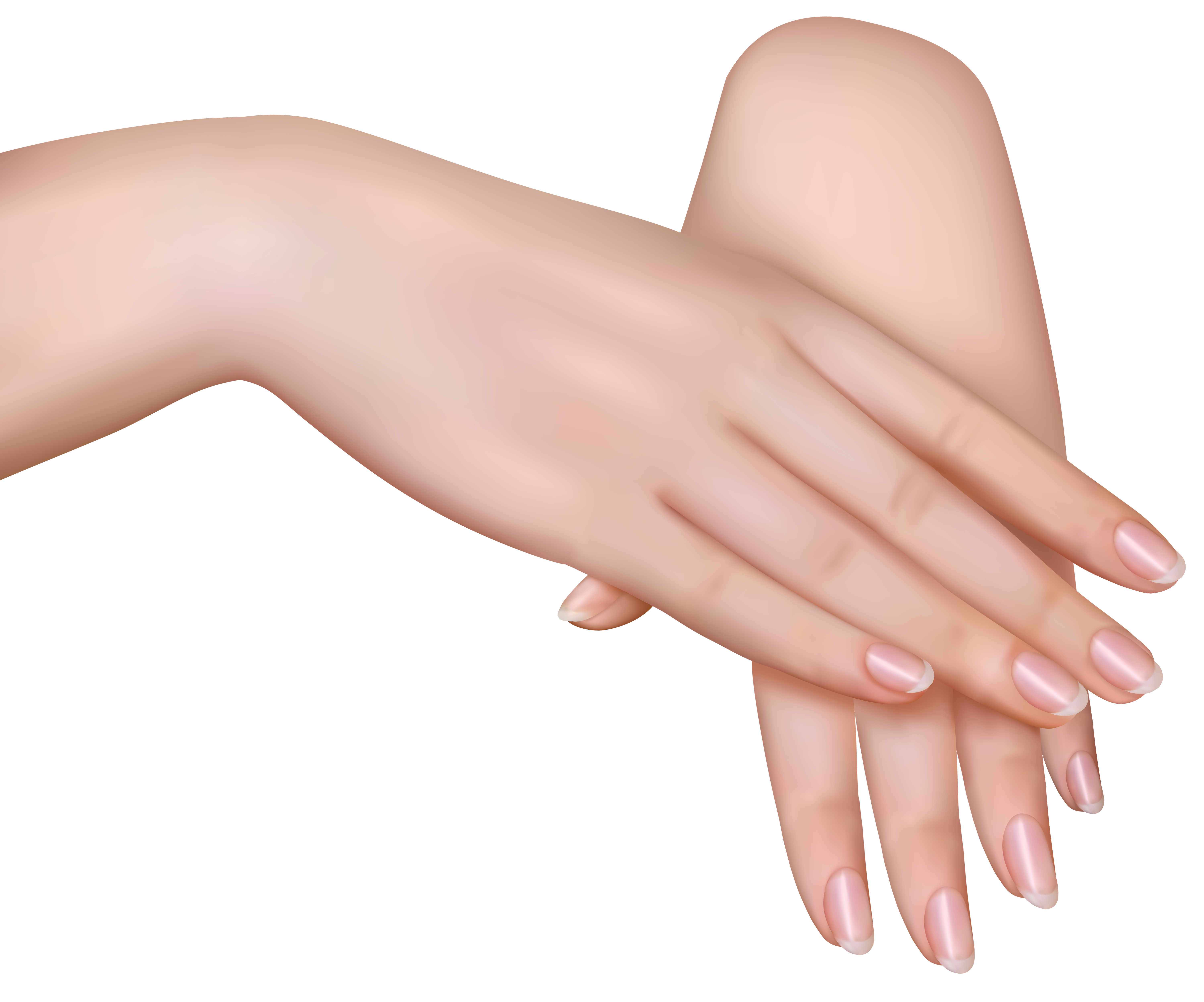 Female hands png.