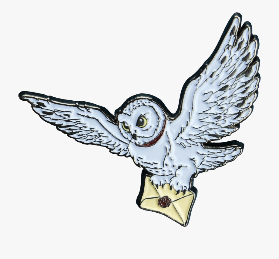 Harry Potter Cartoon Hedwig