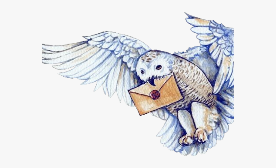 Harry Potter Clipart Hedwig