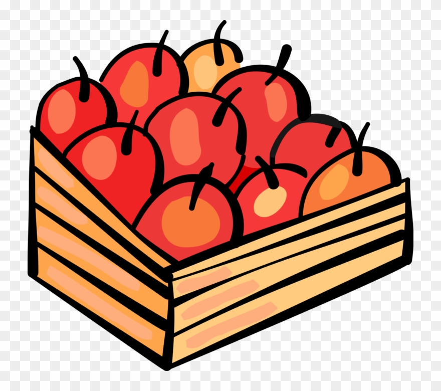 Vector Illustration Of Apple Orchard Fruit Harvest