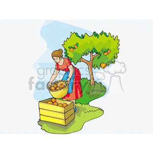 Women Harvesting From Apple Tree clipart
