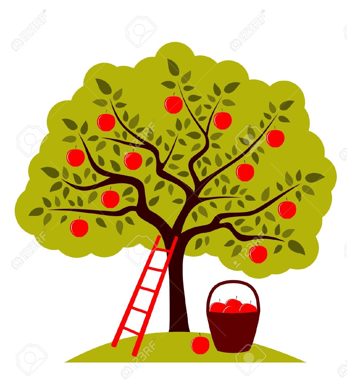 Apple orchard clipart.