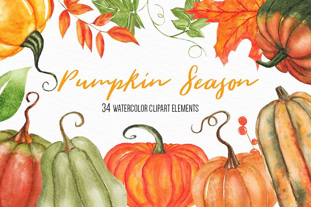 Watercolor Pumpkin Clipart, Harvest Clipart, Autumn Clipart