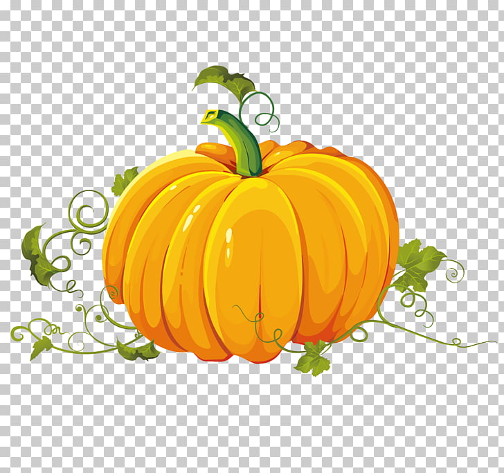 Pumpkin Autumn Harvest , Hand painted pumpkin Teng PNG