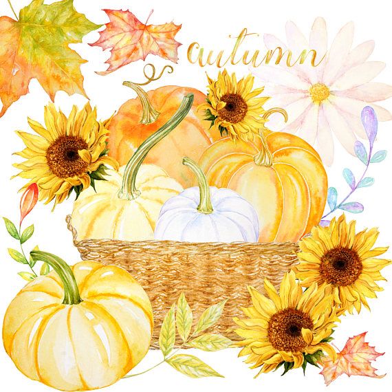 Fall clipart Watercolor Harvest blessings digital download