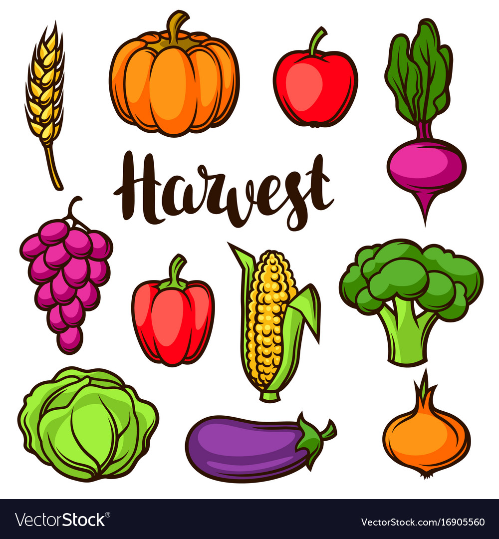 Harvest set of fruits and vegetables autumn