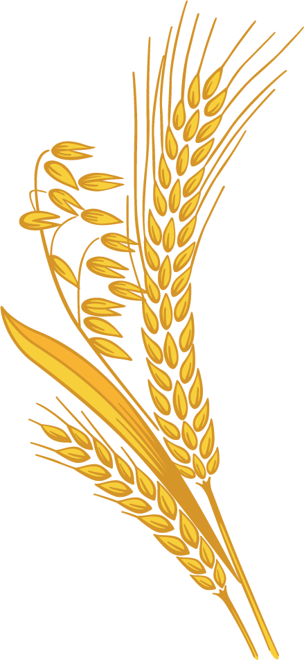 Harvest clipart wheat harvest, Harvest wheat harvest