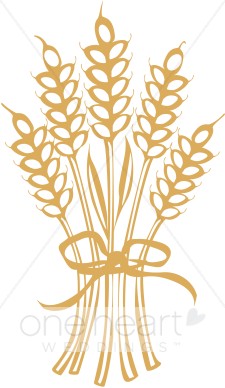 harvest clipart wheat