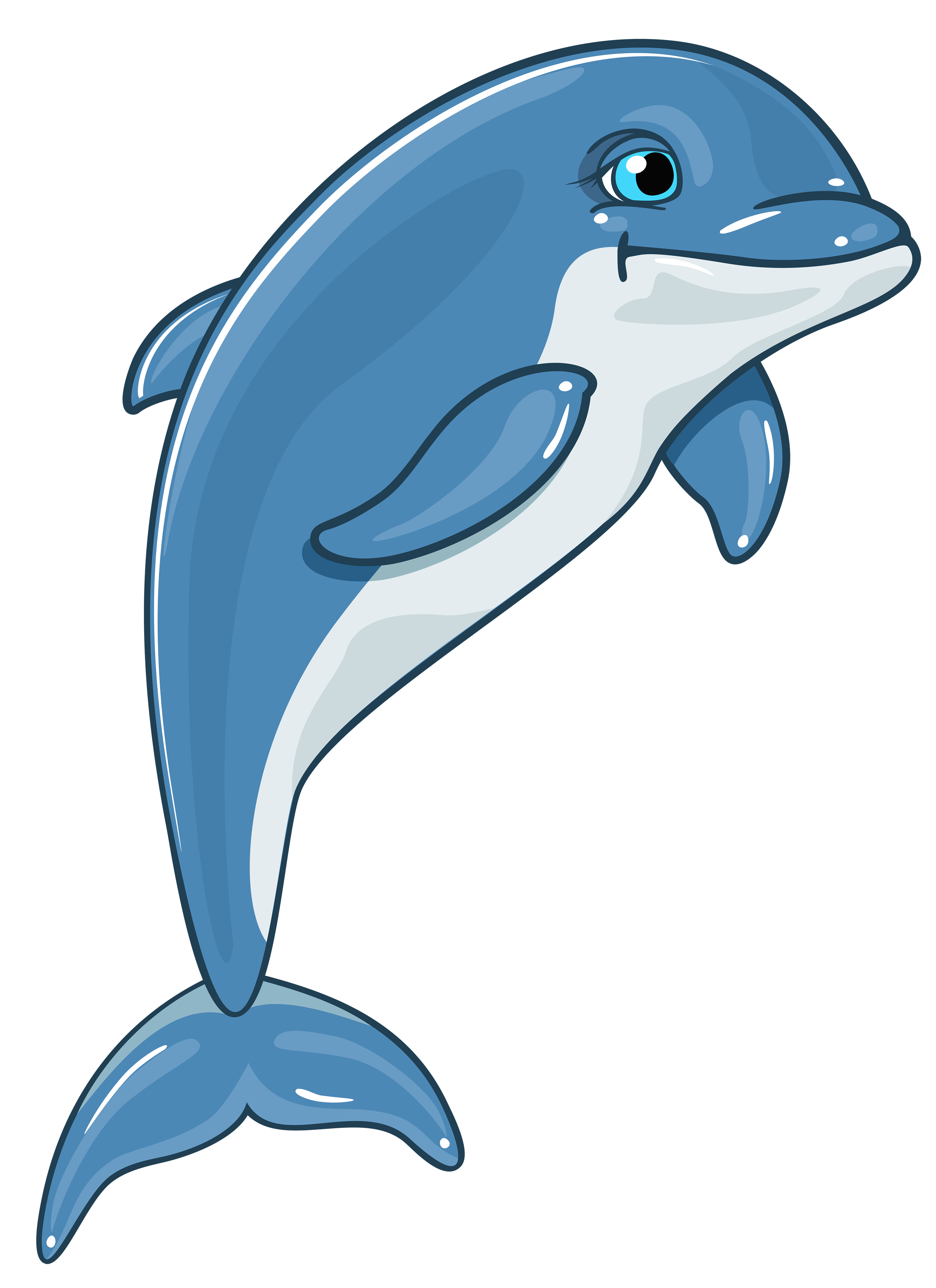 Dolphin png clipart.