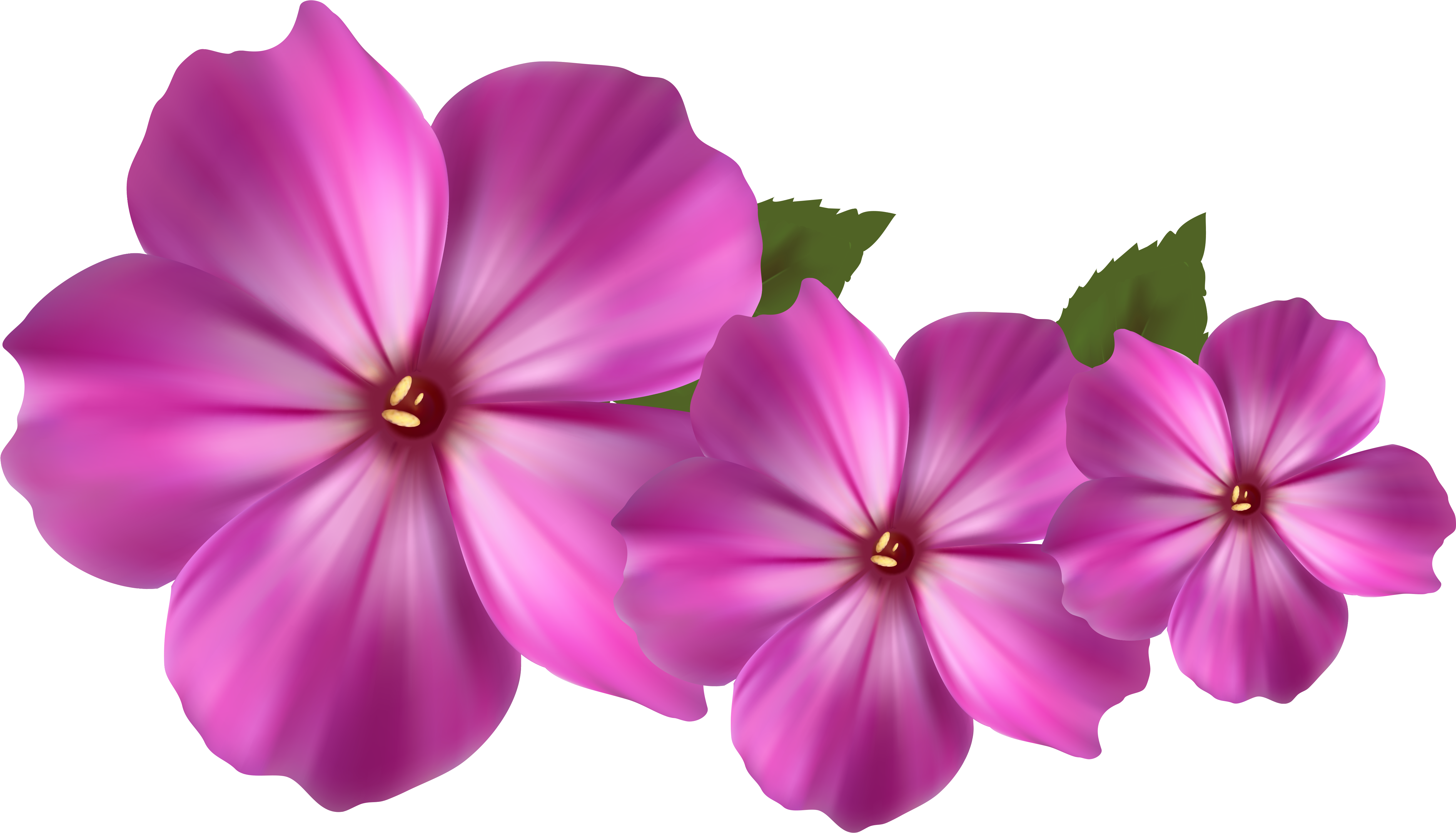 hd clipart images flower