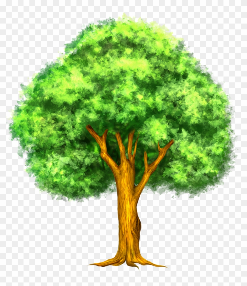 Branches Clipart Family Tree Of Picture Of Tree Clipart
