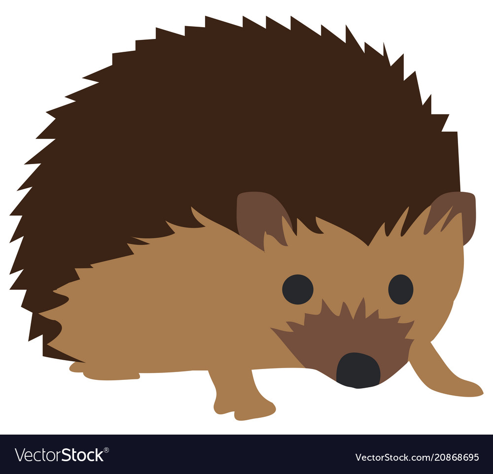 Cute hedgehog vector.