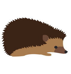 Cute hedgehog clipart.