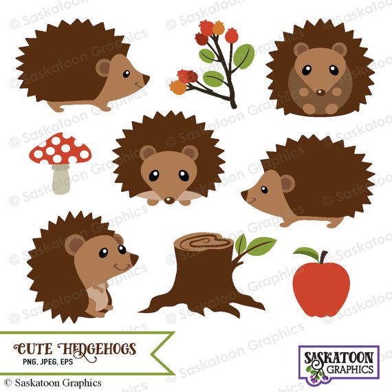 Cute Woodland Hedgehog Clipart