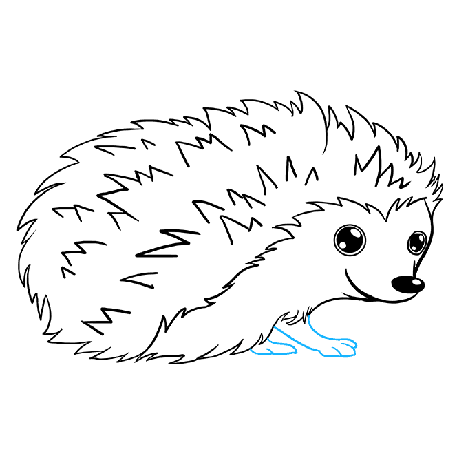 Hedgehog drawing clipart.