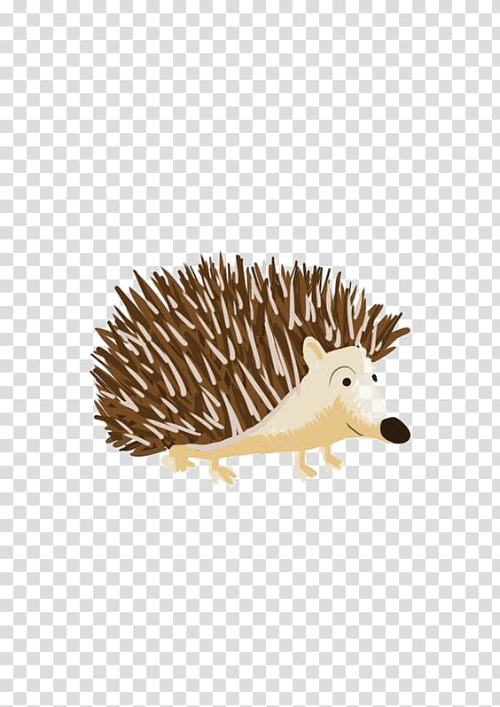 Brown hedgehog illustration, Domesticated hedgehog Echidna