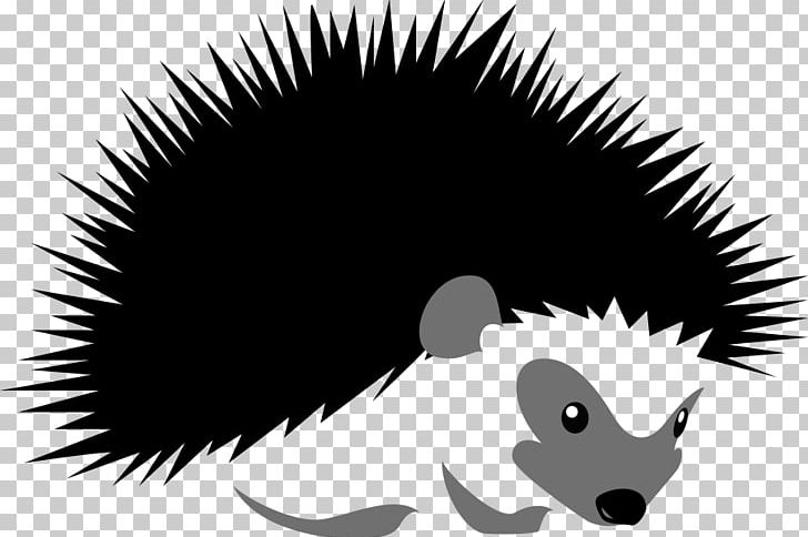 Hedgehog Stock Illustration Silhouette Illustration PNG