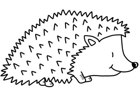 Cute Hedgehog coloring page