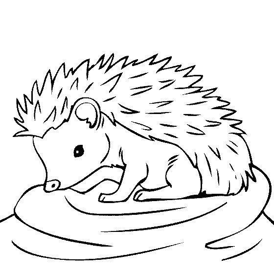 Hedgehog outline embroidery.