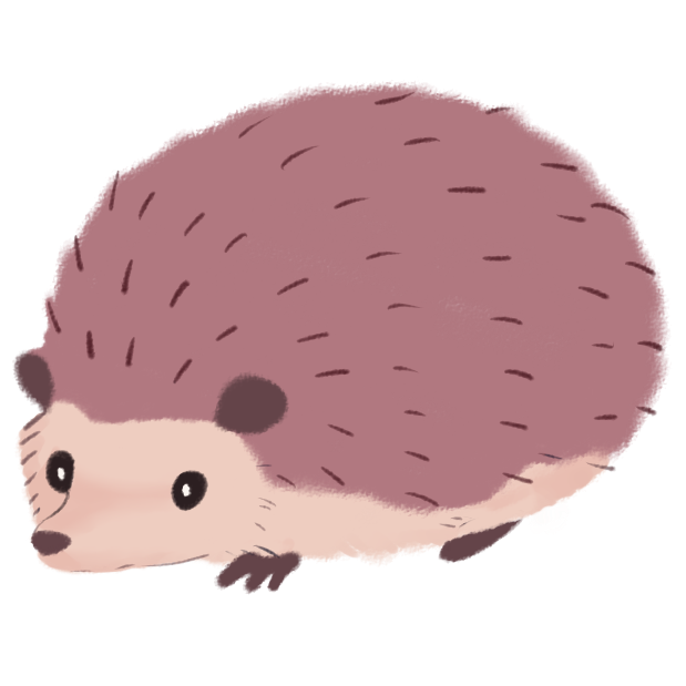 Pink Hedgehog PNG Clipart Image
