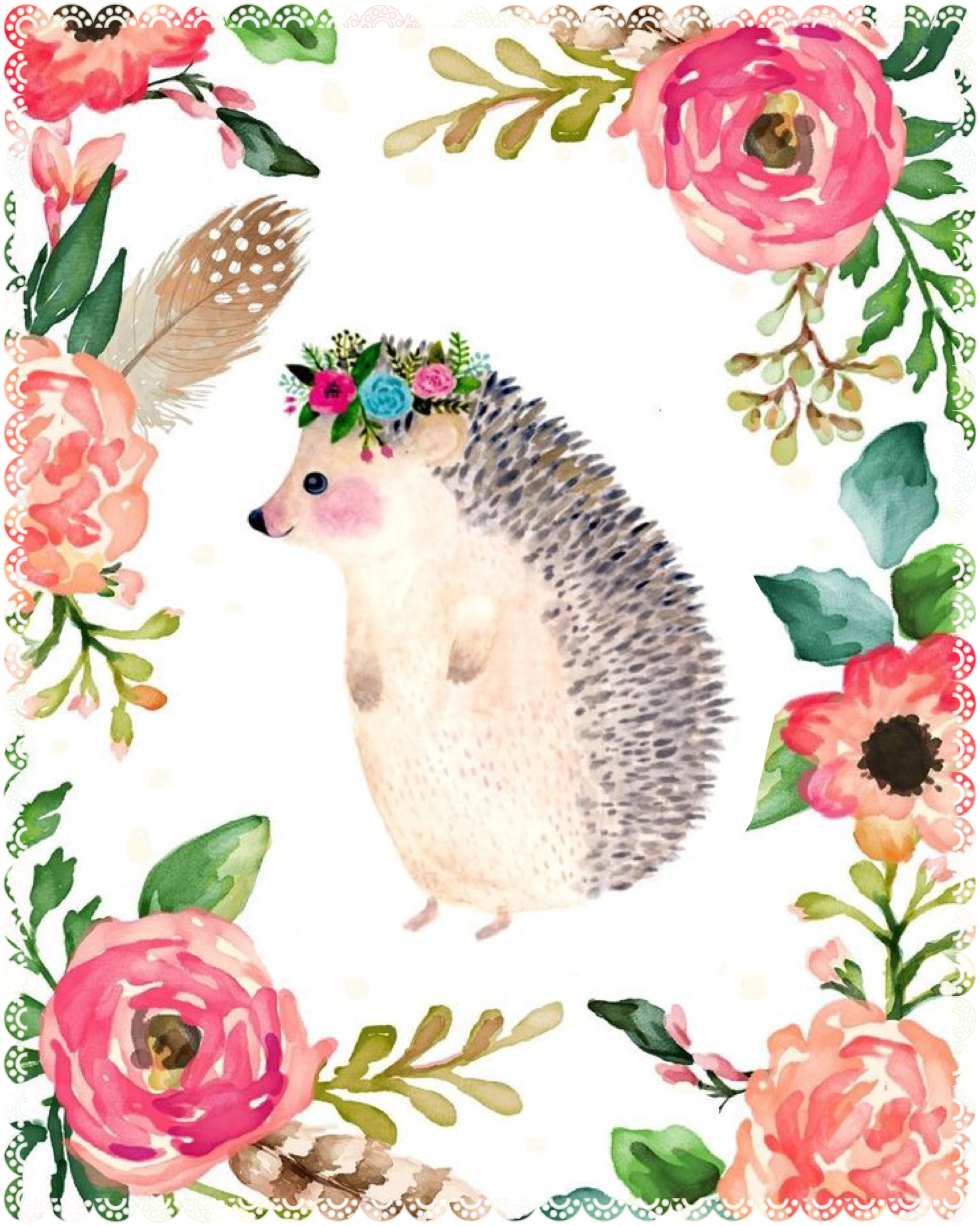 Hedgehog clipart watercolor.