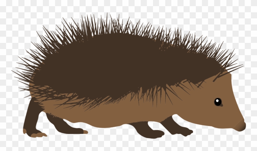 Hedgehog porcupine clip.