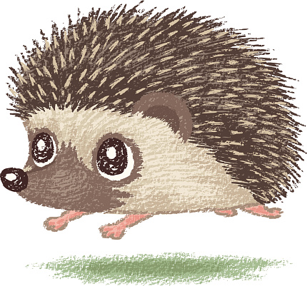 Free cute hedgehog.