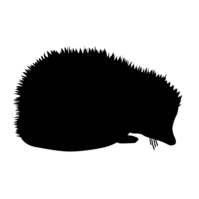 Hedgehog animal silhouette.
