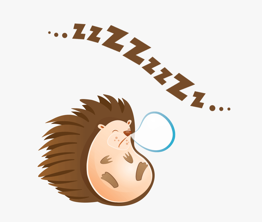 Clipart Sleeping Hedgehog