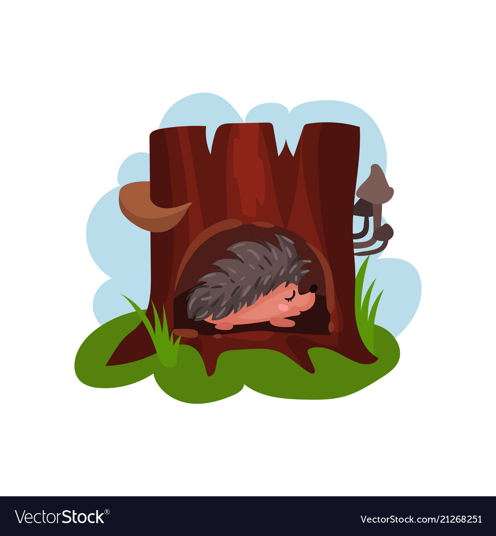 Cute hedgehog sleeping in hollow of tree hollowed