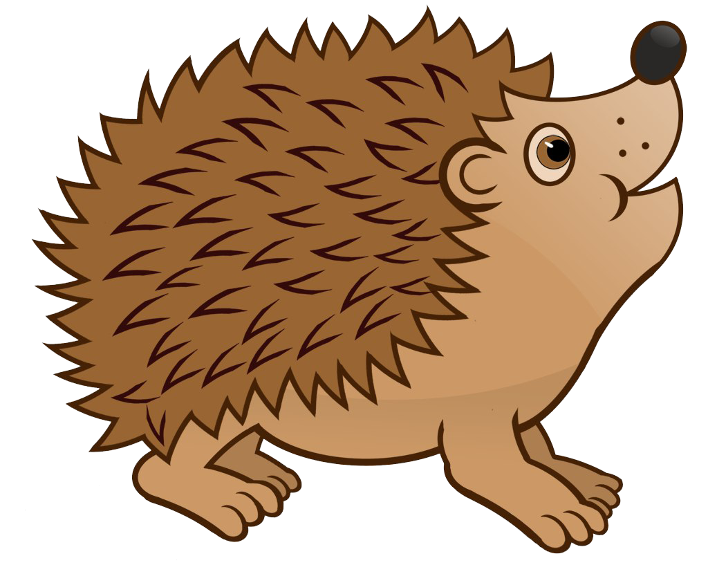 Hedgehog png images.