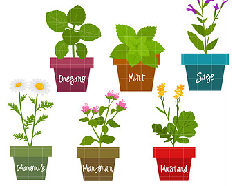 Free herbs cliparts.