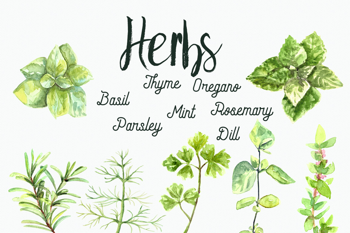 Watercolor Herbs Clip Art Set