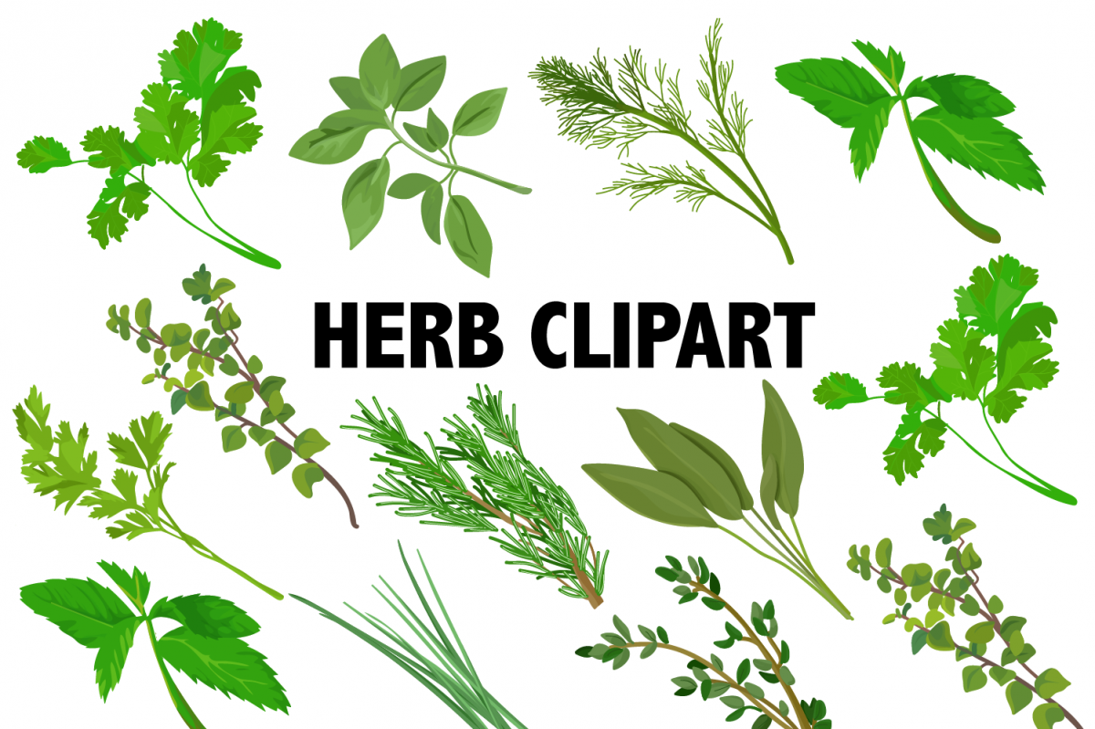Herbs clipart.